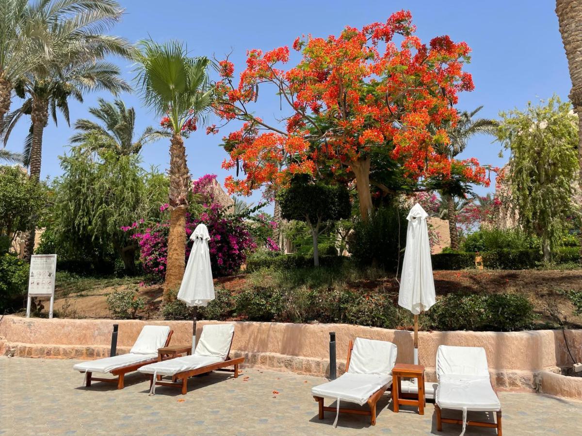 Marsa Alam Blue Lagoon View Resort & Spa מראה חיצוני תמונה